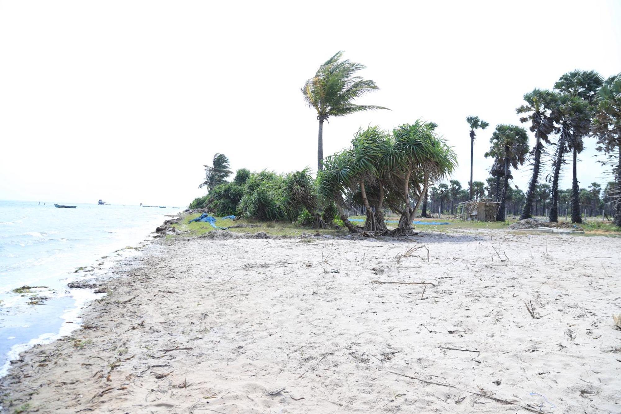Palm Beach Resort Ceylon Jaffna Ngoại thất bức ảnh