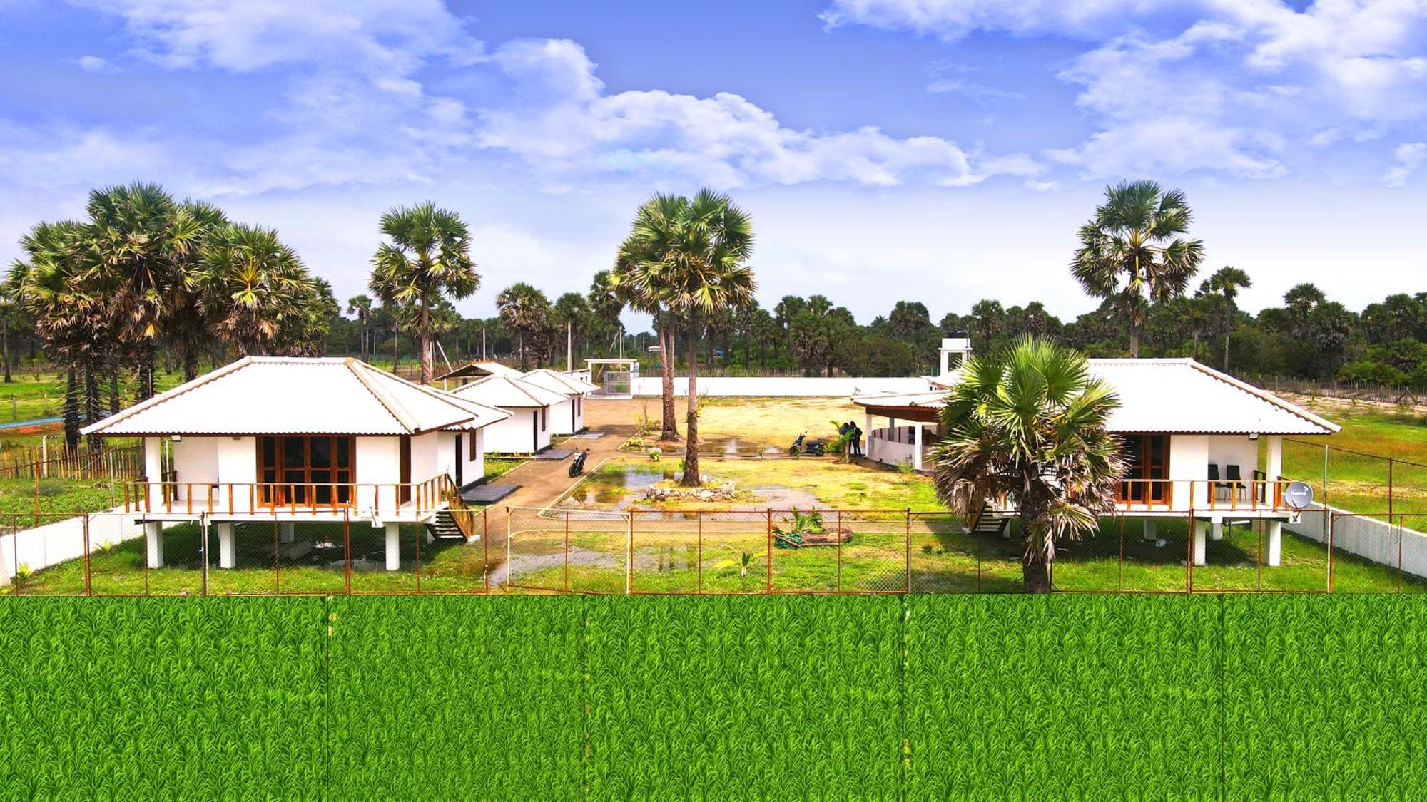 Palm Beach Resort Ceylon Jaffna Ngoại thất bức ảnh